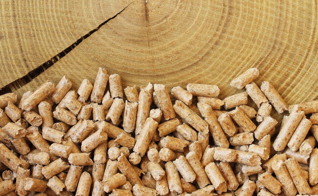 pellets